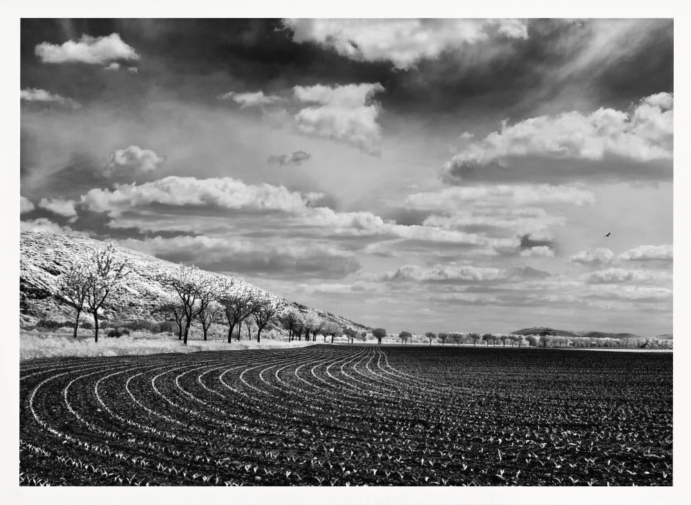 Bio athletic stadium Poster